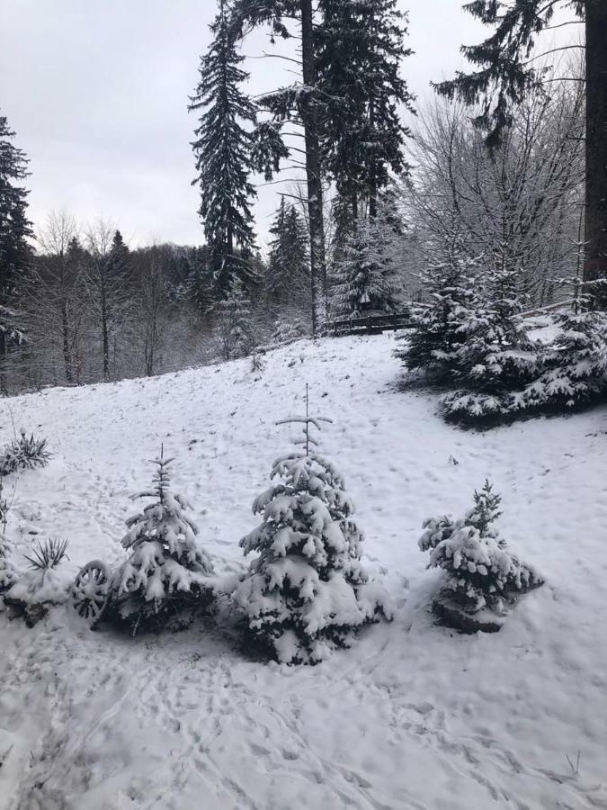 Fairytale Apartment Close To Bradu Ski Slope Poiana Brasov Eksteriør billede