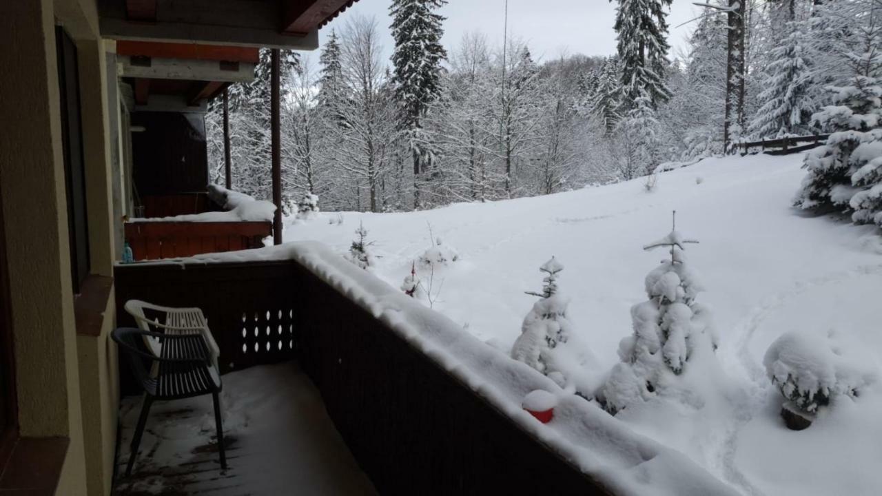 Fairytale Apartment Close To Bradu Ski Slope Poiana Brasov Eksteriør billede